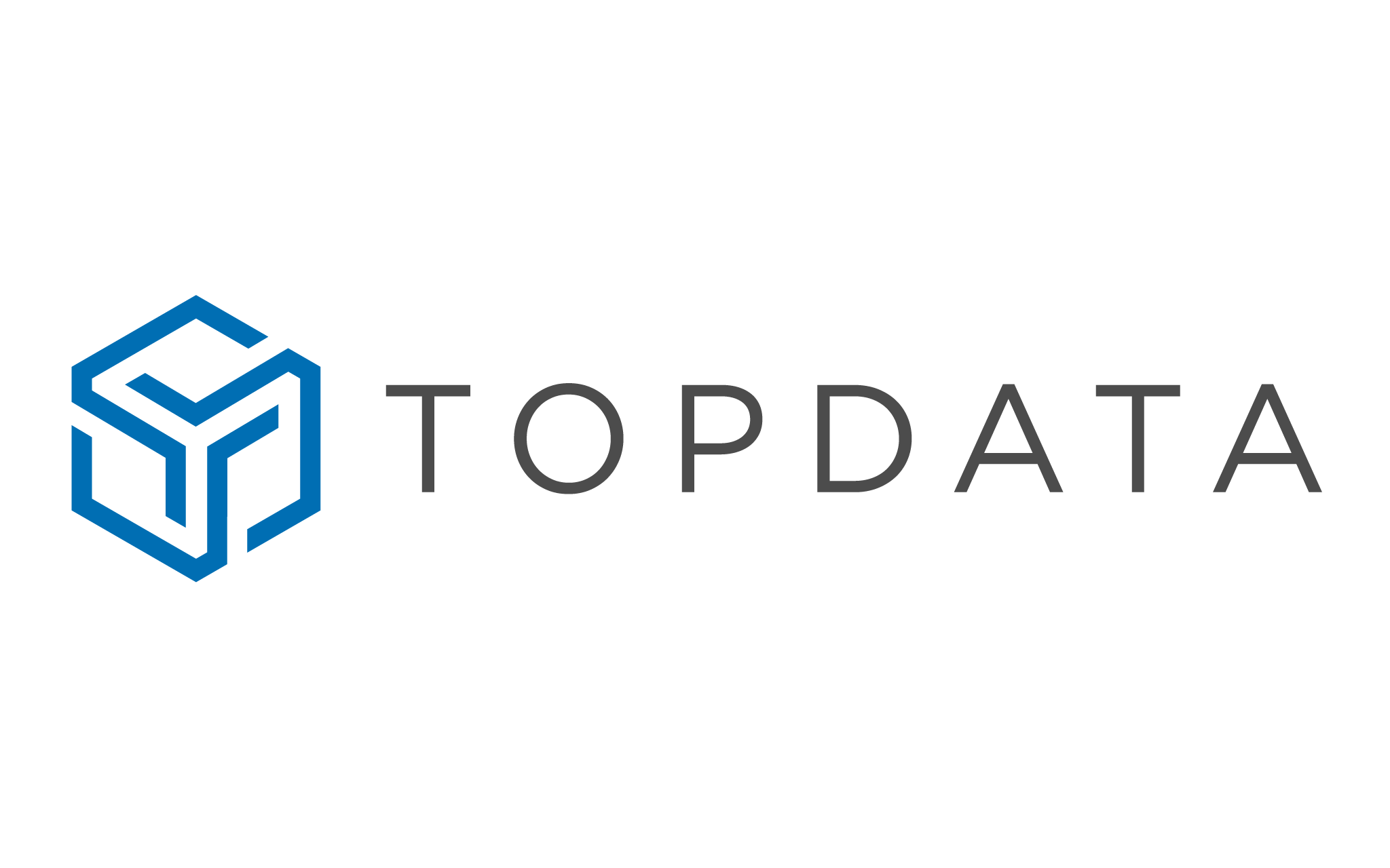 Logo Topdata