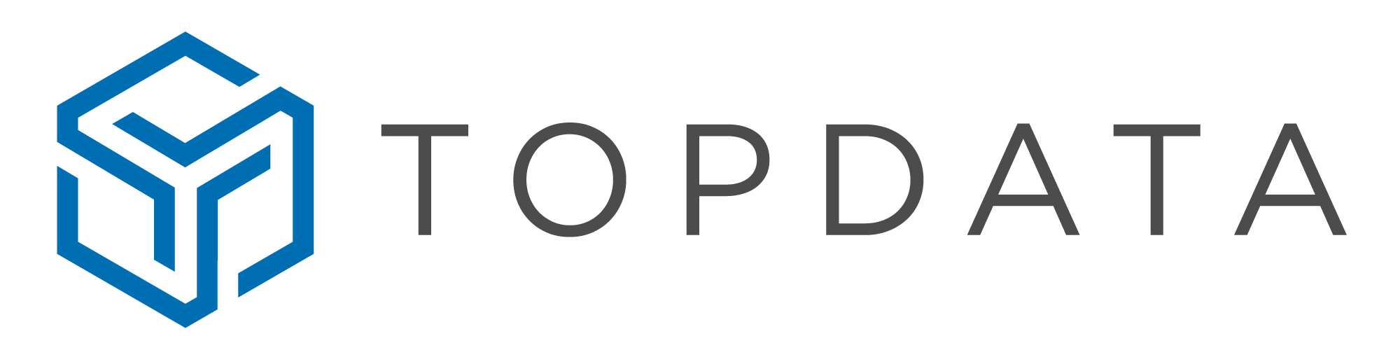 Logo Topdata